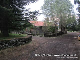 se Zampini24-11-2013 17-32-56